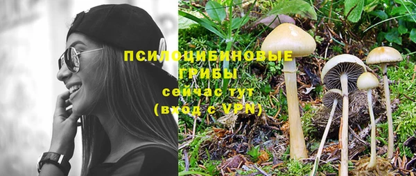 mix Алексеевка