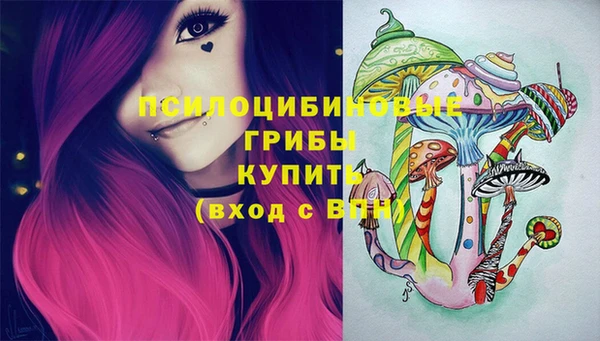 герыч Алзамай