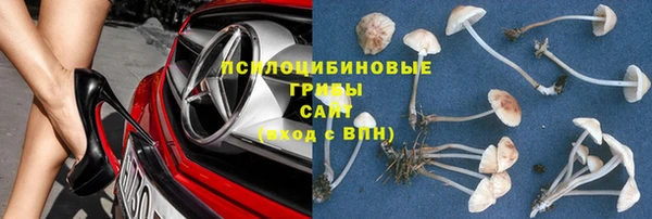 мескалин Алексин