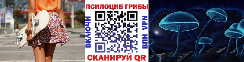 дарнет шоп  блэк спрут зеркало  Псилоцибиновые грибы Cubensis  Пенза 